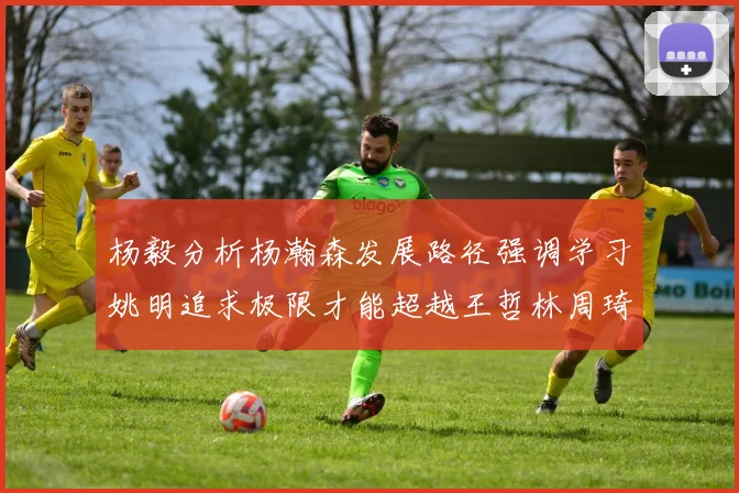 杨毅分析杨瀚森发展路径强调学习姚明追求极限才能超越王哲林周琦状态