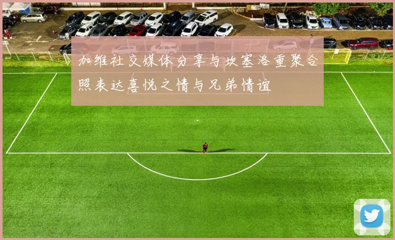 加维社交媒体分享与坎塞洛重聚合照表达喜悦之情与兄弟情谊