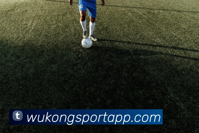 悟空体育APP 高清赛事图